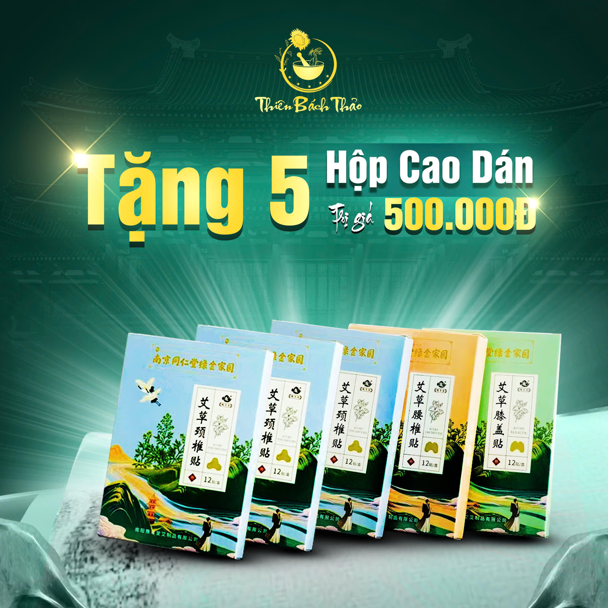 Tặng 5 hộp cao dán thảo dược